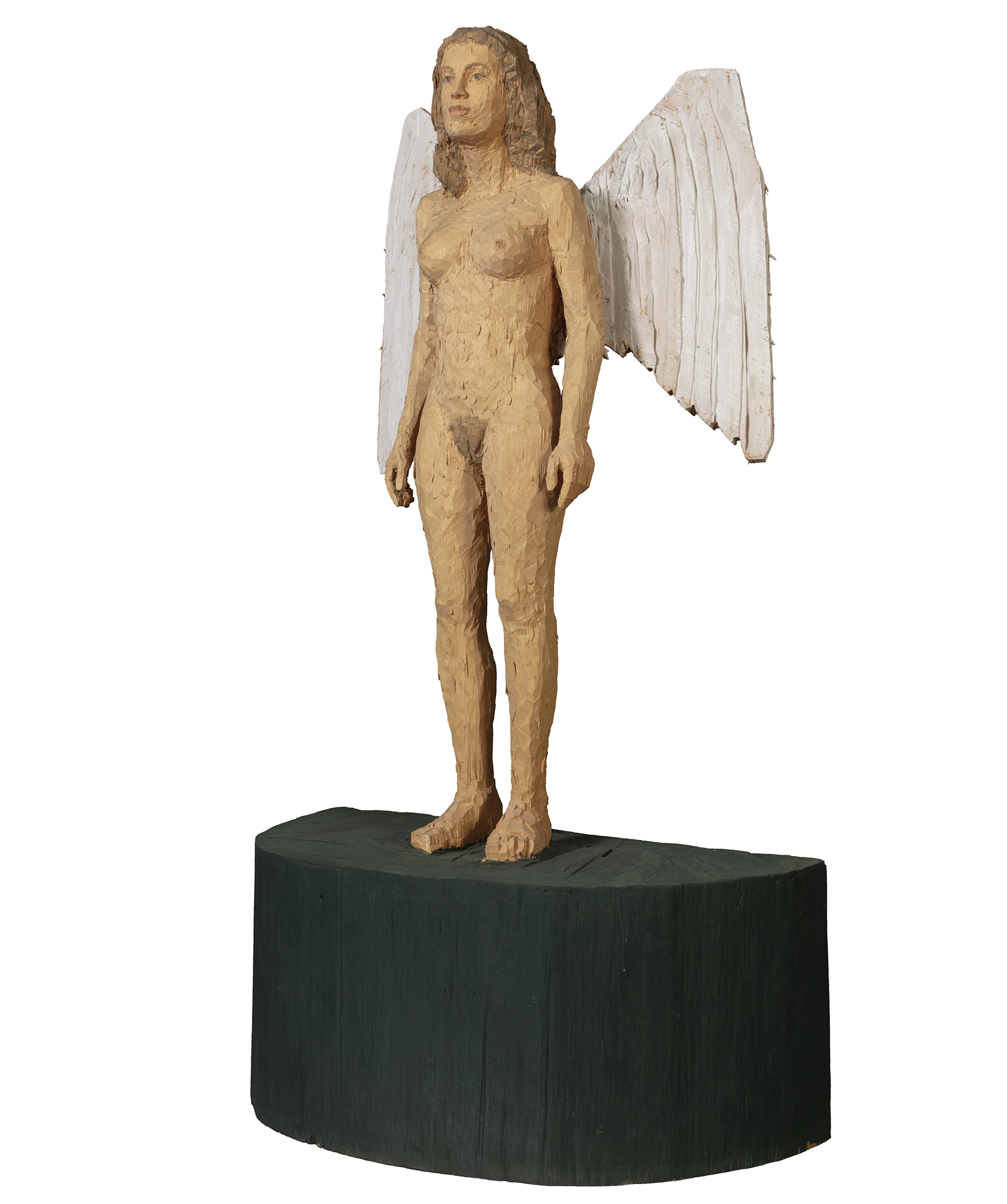 Coroplast Collection