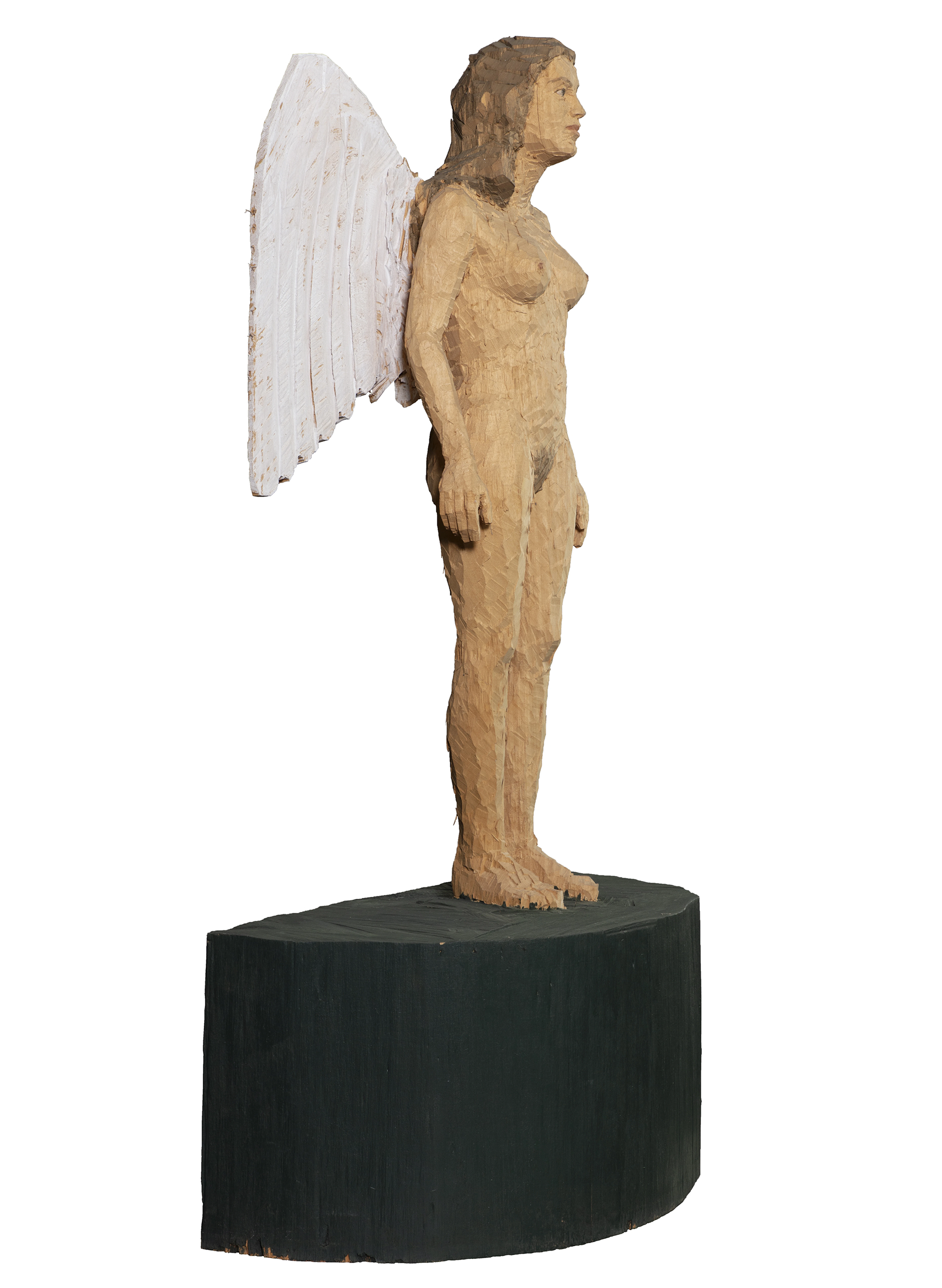 Coroplast Collection