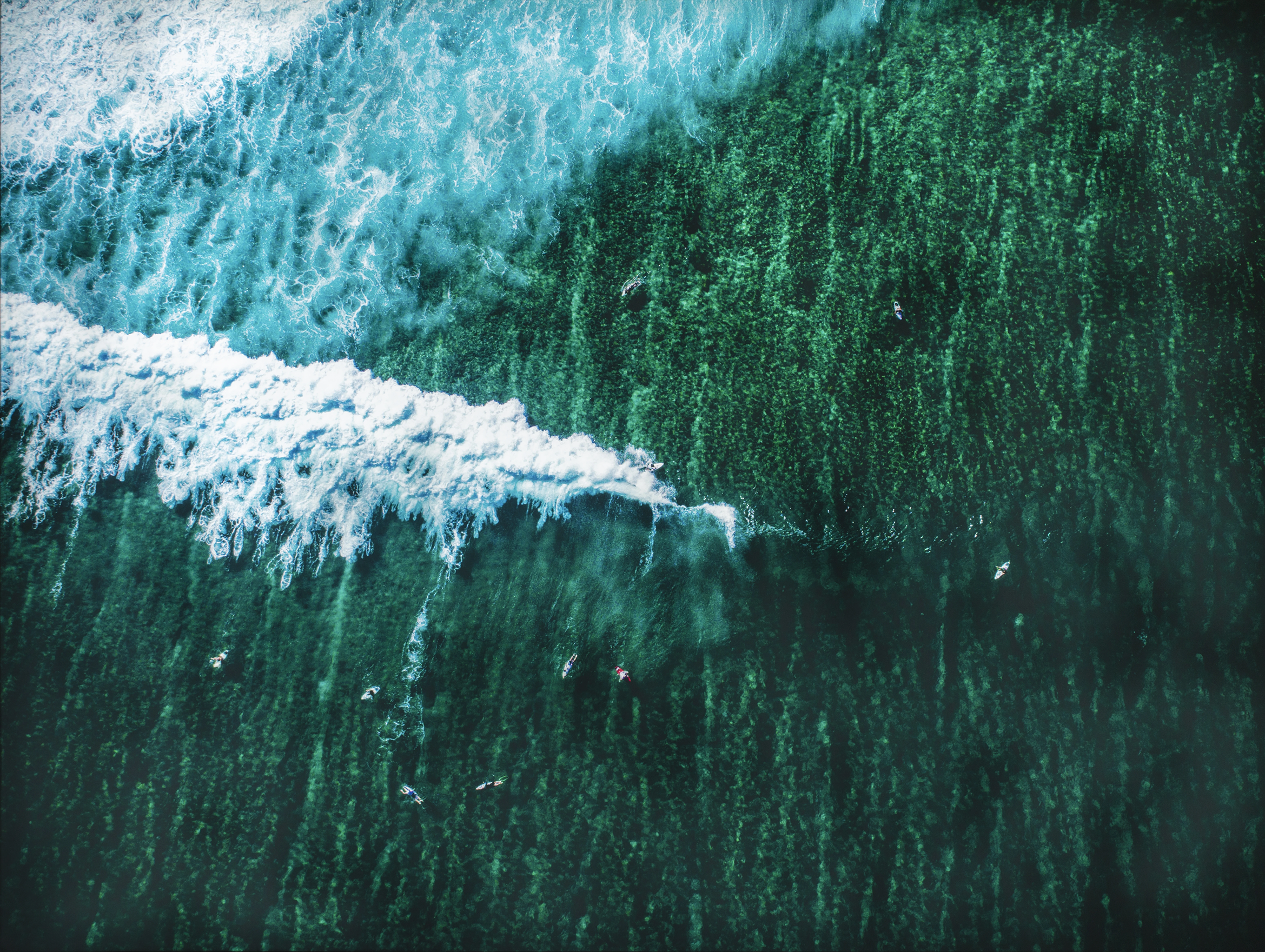 Coroplast Collection