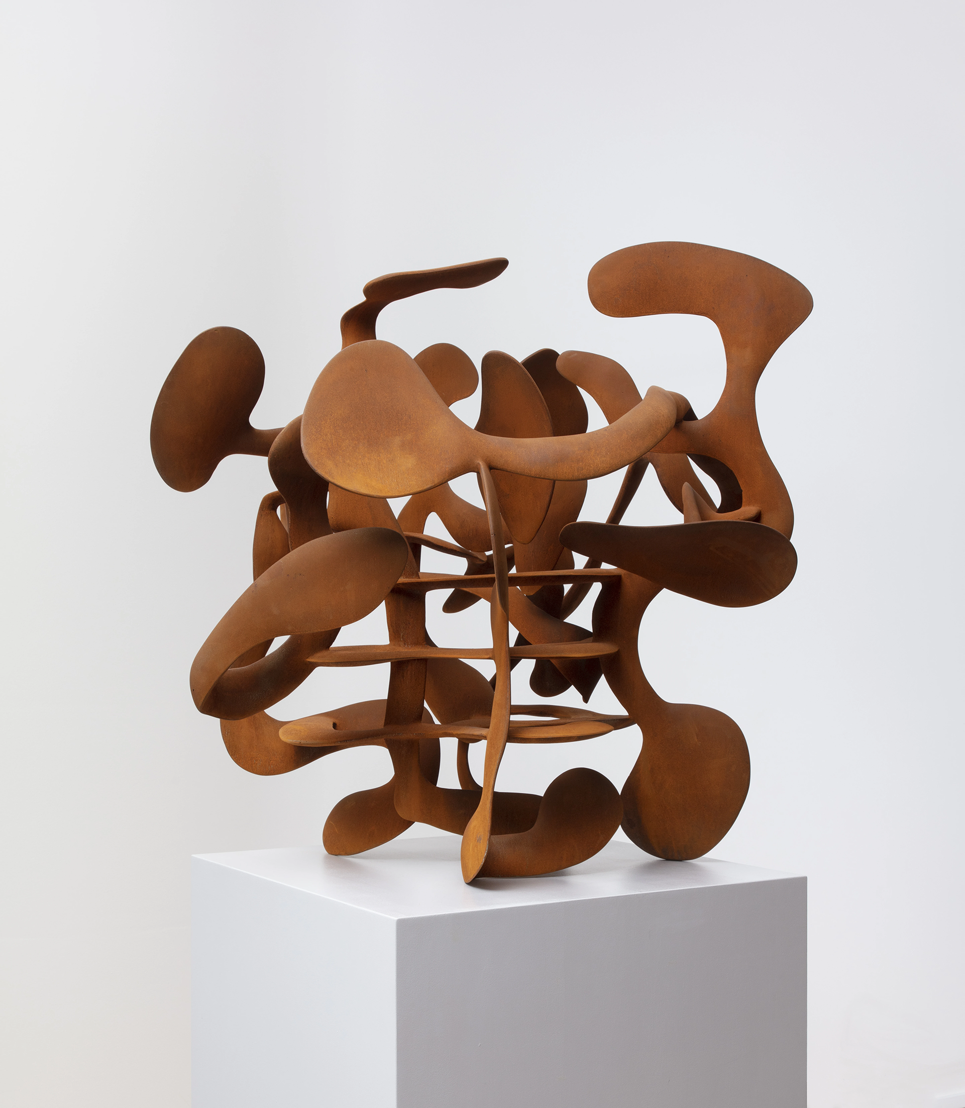 Coroplast Collection