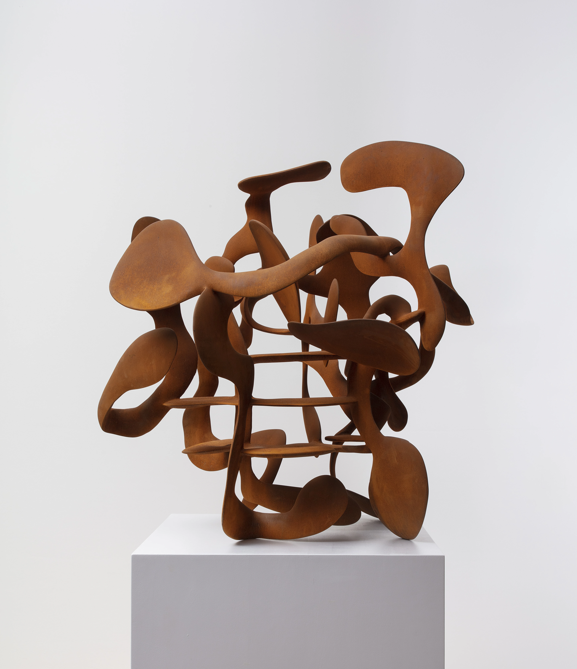 Coroplast Collection