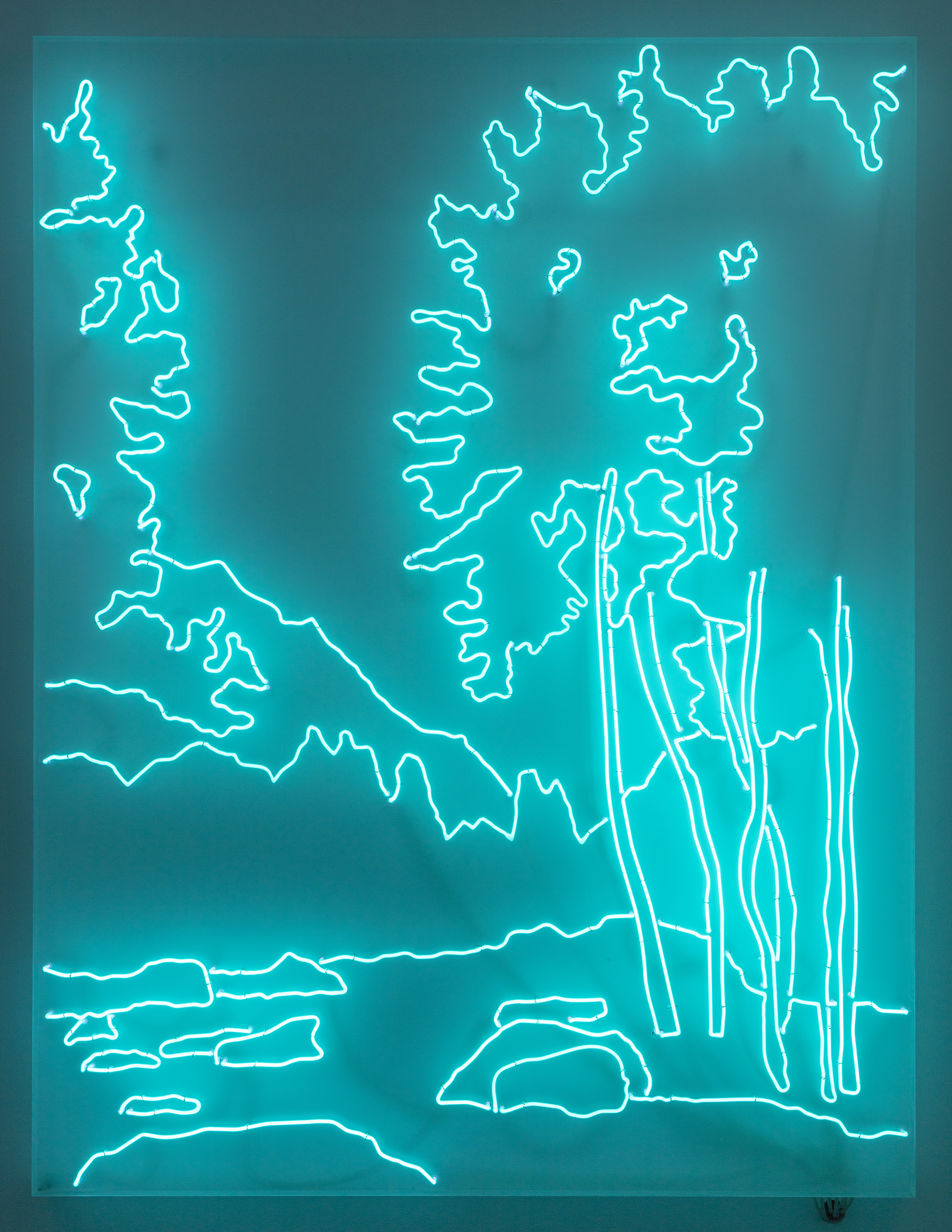 Coroplast Collection