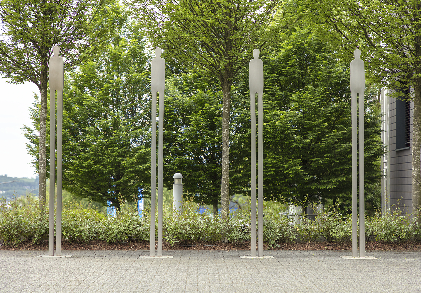 Coroplast Collection