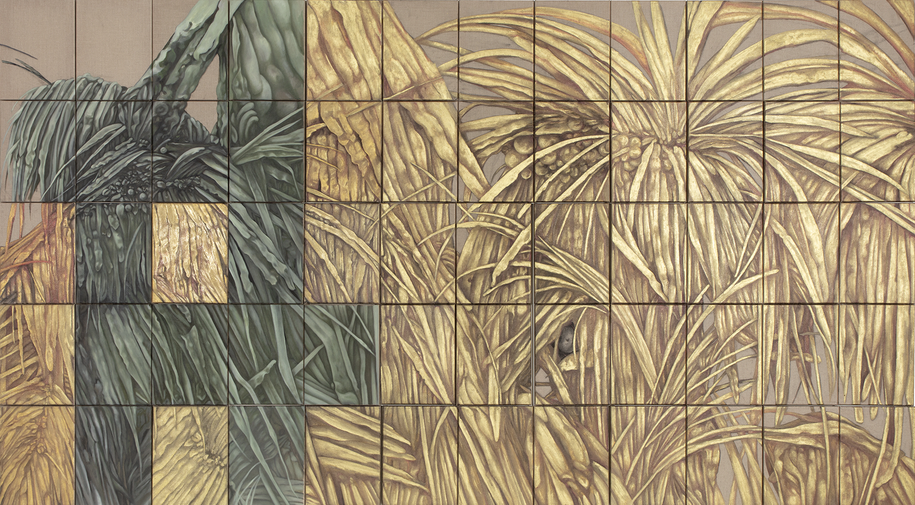 Coroplast Collection