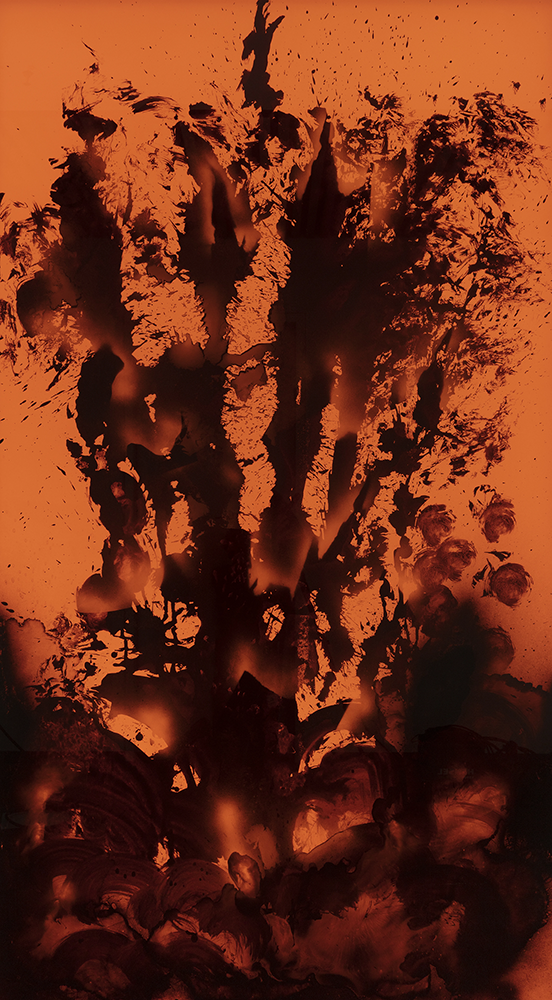 Coroplast Collection