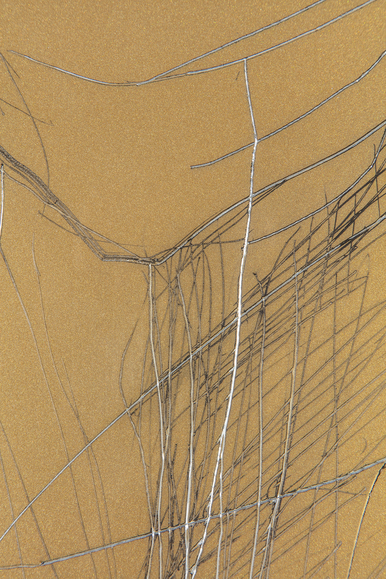 Coroplast Collection