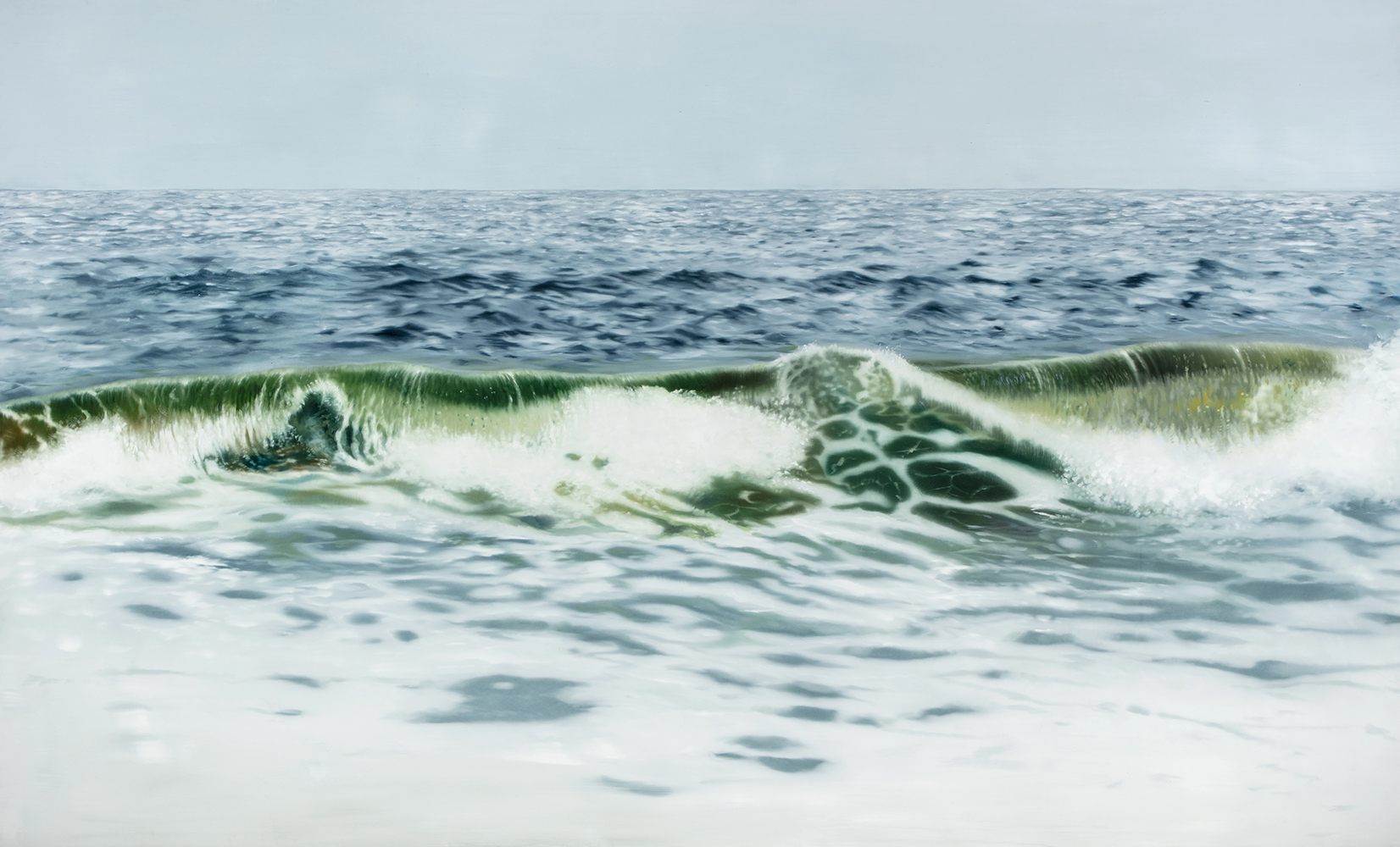 Coroplast Collection